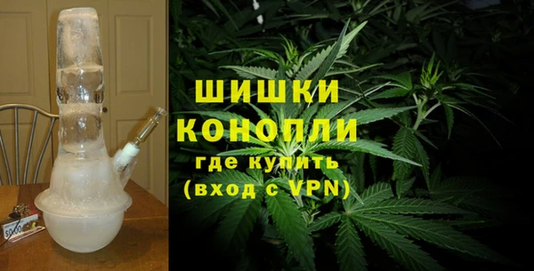 гашик Белокуриха
